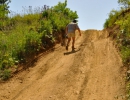 Besuch des Offroadparks Böser Wolf_06.14