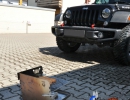 Besuch im Offroadpark_Böser Wolf_17.-18.06.17