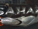 Decal SAHARA
