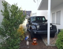 Backyard Pictures | 2013 Jeep Wrangler Sahara