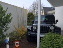 Backyard Pictures | 2013 Jeep Wrangler Sahara