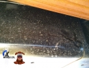 Underfloor_JK_Sahara_New